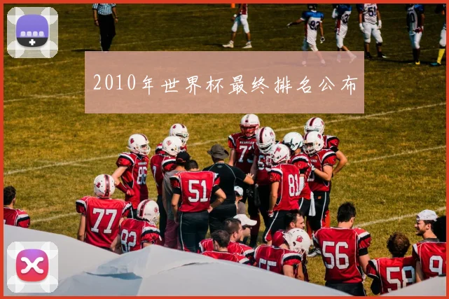 2010年世界杯最终排名公布
