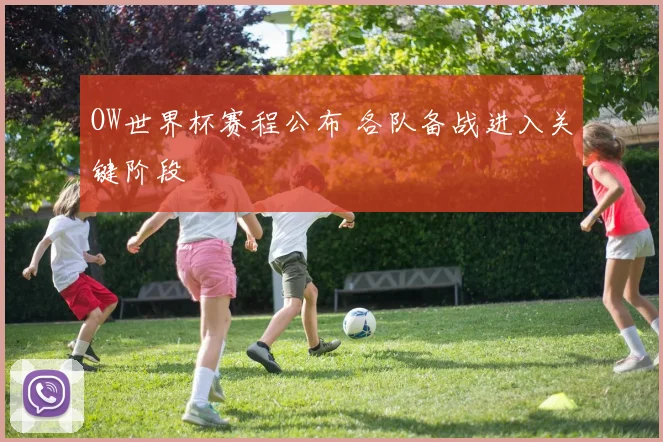 OW世界杯赛程公布 各队备战进入关键阶段