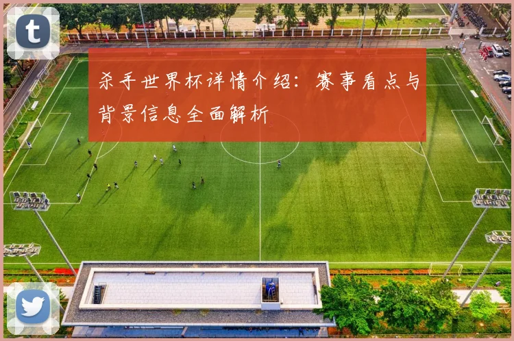杀手世界杯详情介绍:赛事看点与背景信息全面解析