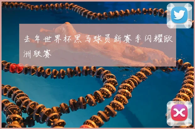 去年世界杯黑马球员新赛季闪耀欧洲联赛
