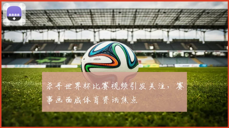 杀手世界杯比赛视频引发关注,赛事画面成体育资讯焦点