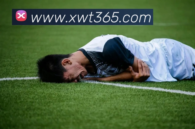 多媒体互动体验